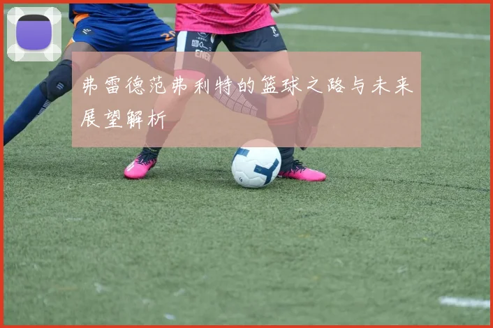 弗雷德范弗利特的篮球之路与未来展望解析